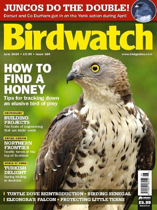 Title details for Birdwatch by Warners Group Publications Plc - Available